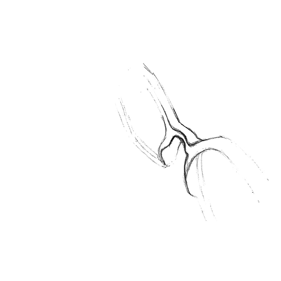 Desenho Fabro — ponte